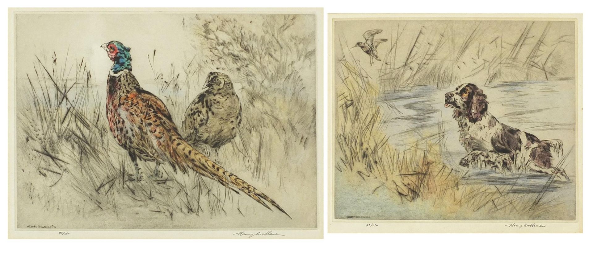 Henry Wilkinson - Pheasants and gun dogs, pair of pencil signed etchings in colour, limited