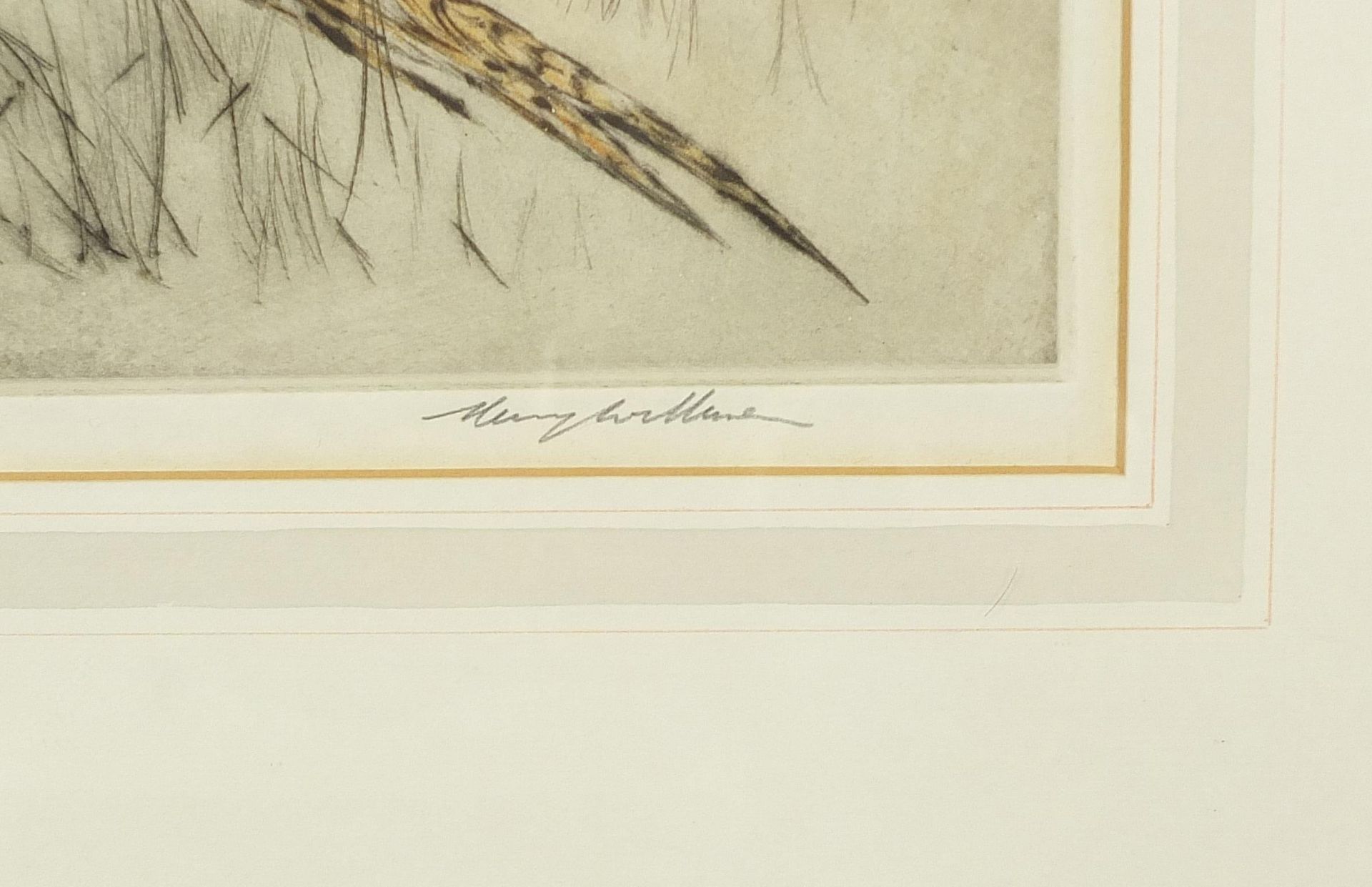Henry Wilkinson - Pheasants and gun dogs, pair of pencil signed etchings in colour, limited - Image 10 of 11