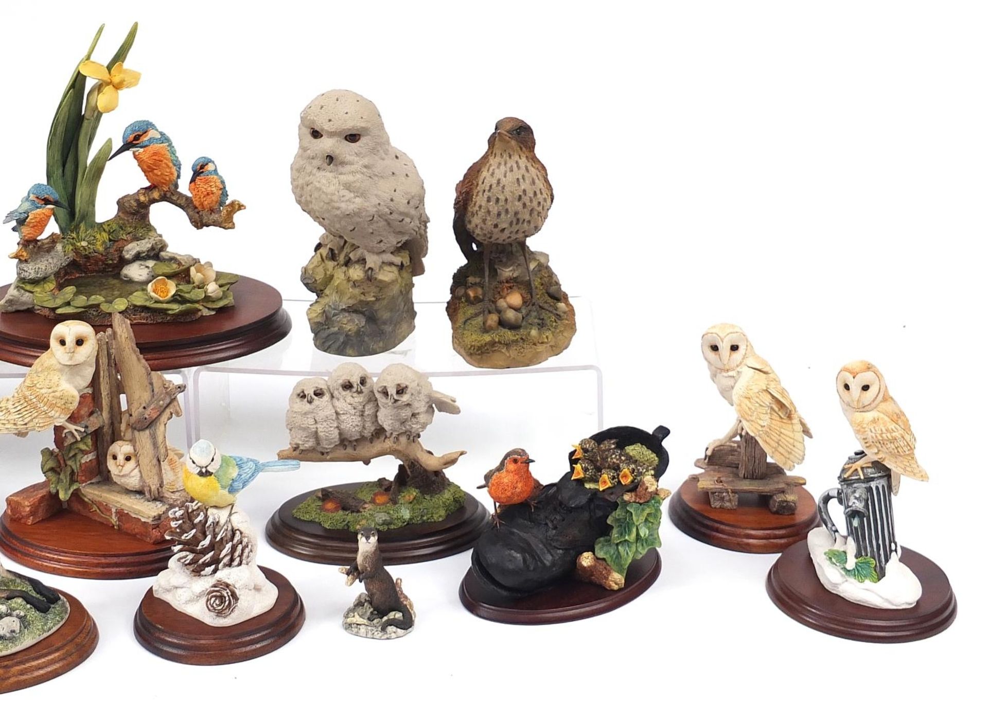 Predominantly Border Fine Arts model animals on stands including birds and a group of foxes titled - Bild 4 aus 5