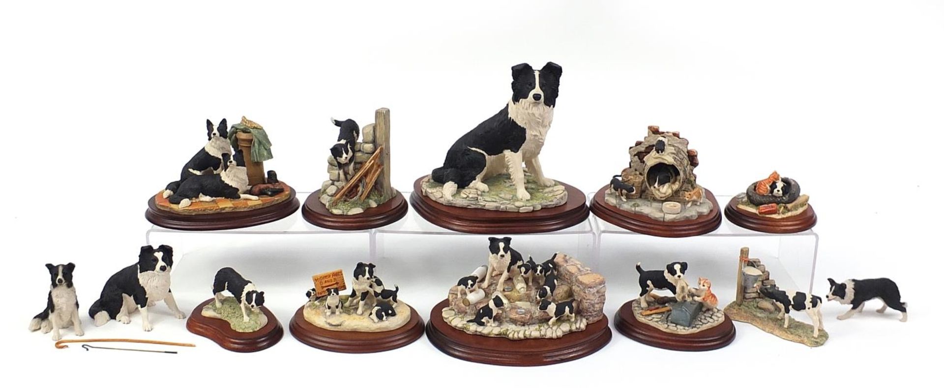 Border Fine Arts model Border Collies, predominantly on stands including A Long Day Ahead and