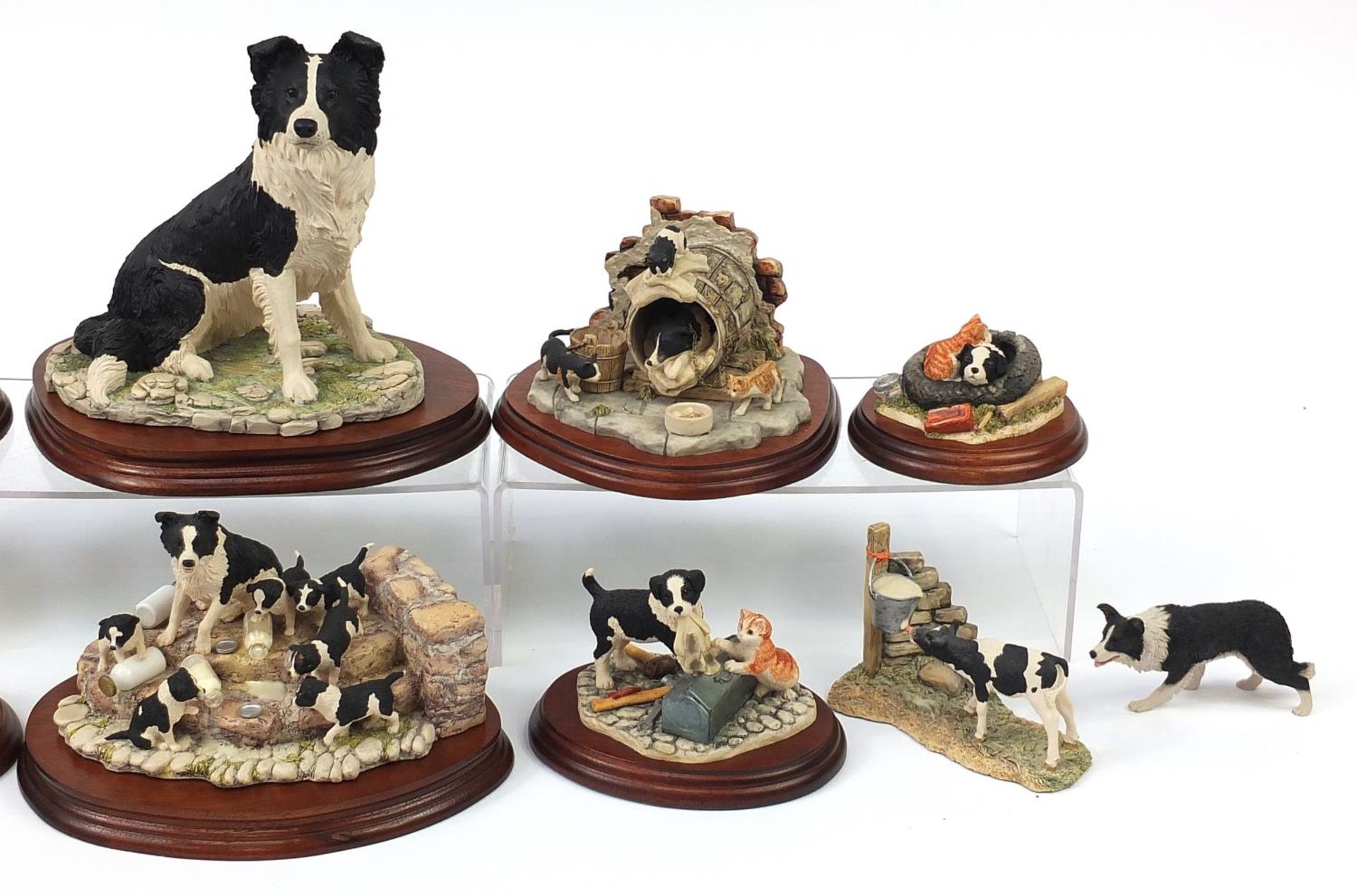 Border Fine Arts model Border Collies, predominantly on stands including A Long Day Ahead and - Bild 3 aus 4