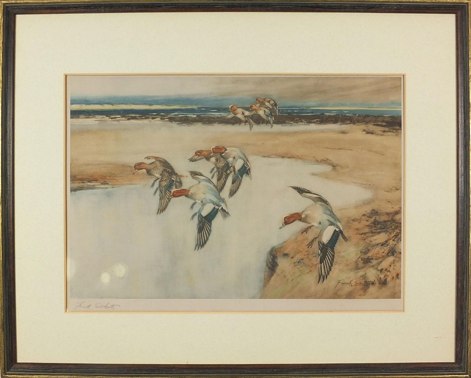 Frank Southgate - Game birds, pencil signed lithograph in colour, mounted and framed, 46cm x 32cm - Image 2 of 6