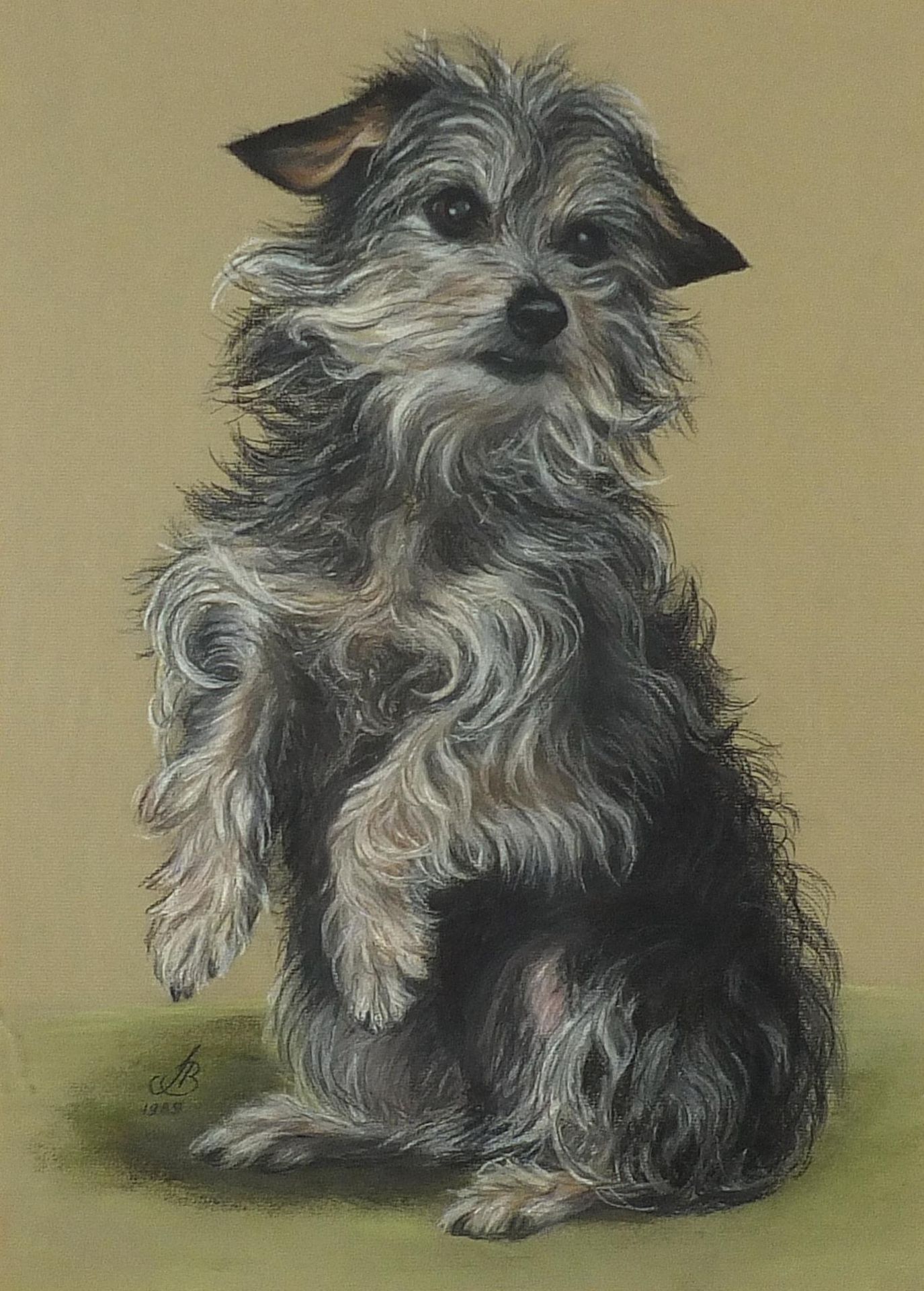 Portrait of a Terrier, pastel, indistinctly monogrammed and dated, possibly J B, 1989, mounted,