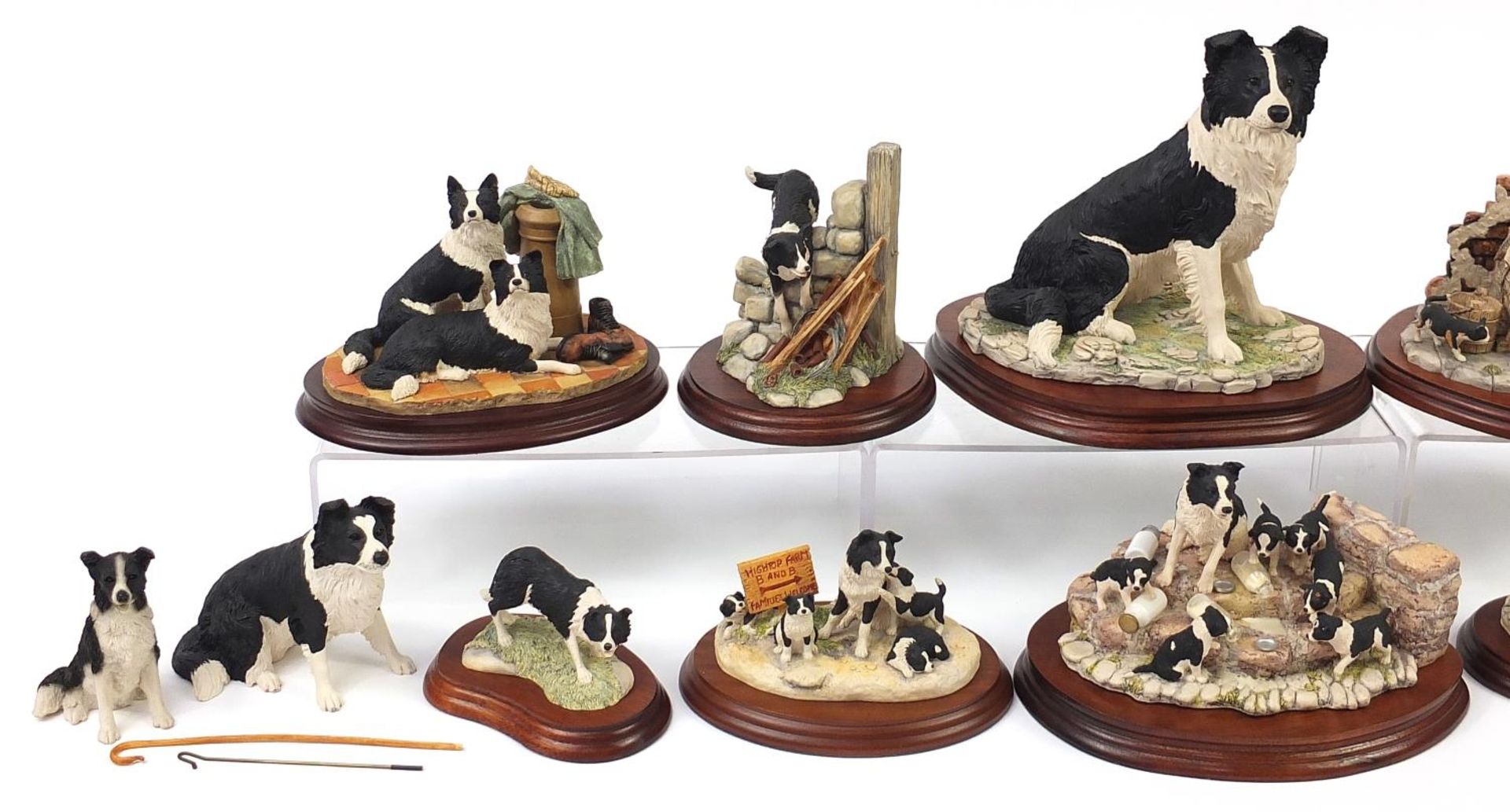 Border Fine Arts model Border Collies, predominantly on stands including A Long Day Ahead and - Bild 2 aus 4