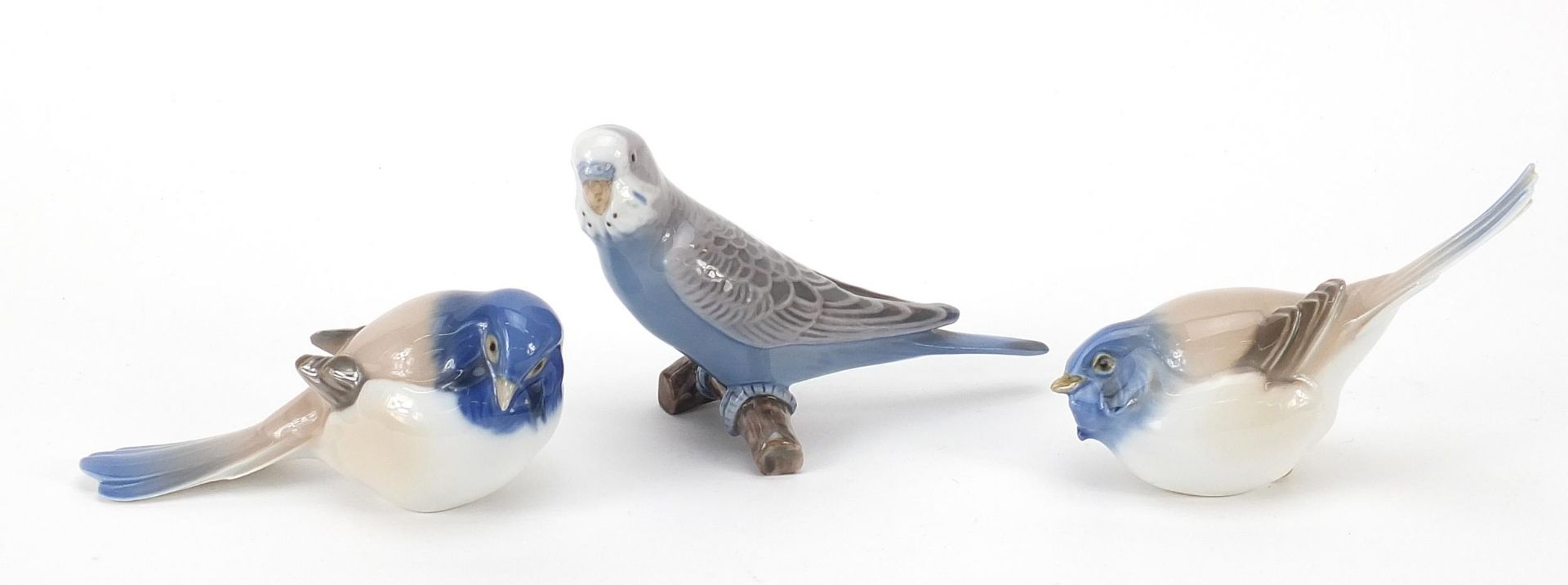 Bing & Grundell, three Danish porcelain birds including a budgie, the largest 14cm in length The