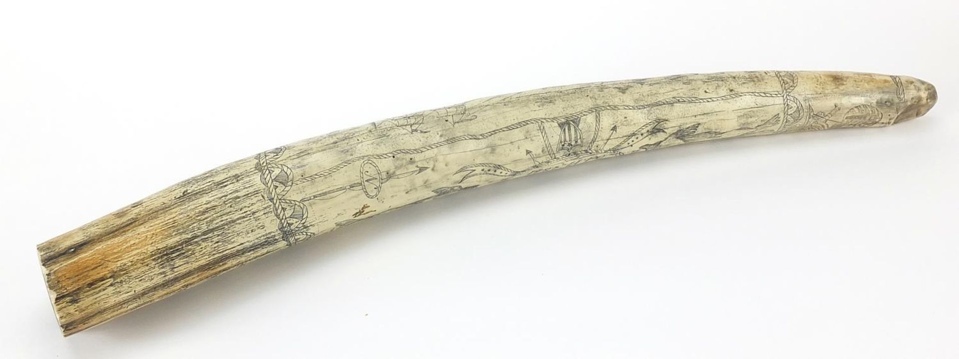 Large scrimshaw style model of a tusk, 53cm in length - Image 3 of 3