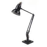 Herbert Terry two step Anglepoise lamp