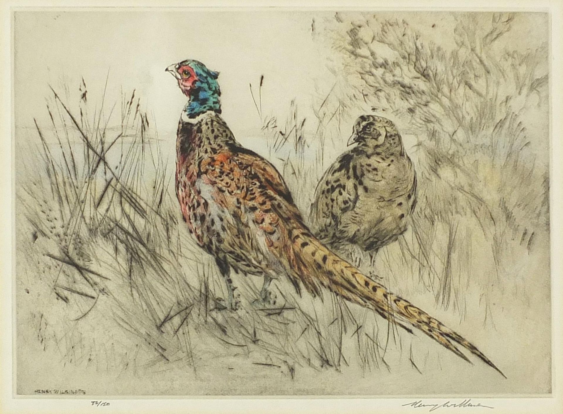 Henry Wilkinson - Pheasants and gun dogs, pair of pencil signed etchings in colour, limited - Image 7 of 11