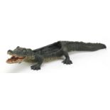 Cold painted bronze crocodile in the style of Franz Xaver Bergmann, 21.5cm in length