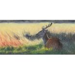 Paul Apps - Deer before a landscape, South African oil/acrylic, mounted, framed and glazed, 37.5cm x