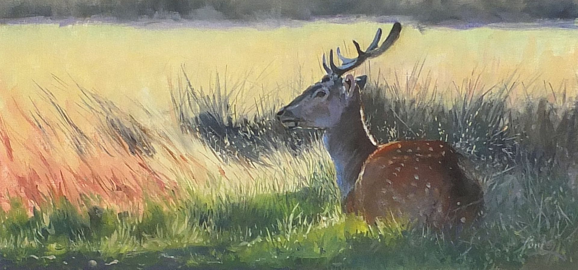 Paul Apps - Deer before a landscape, South African oil/acrylic, mounted, framed and glazed, 37.5cm x