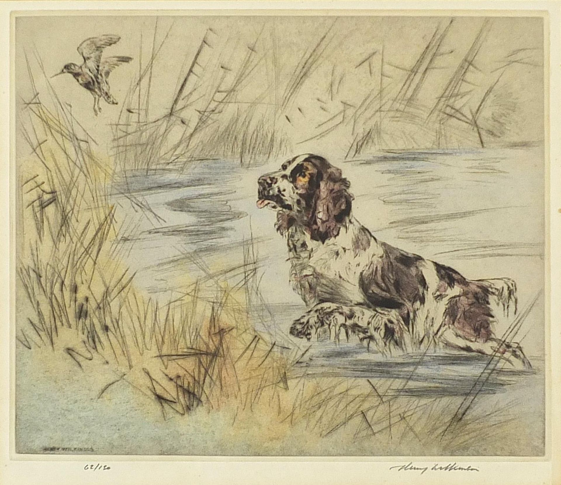 Henry Wilkinson - Pheasants and gun dogs, pair of pencil signed etchings in colour, limited - Image 2 of 11