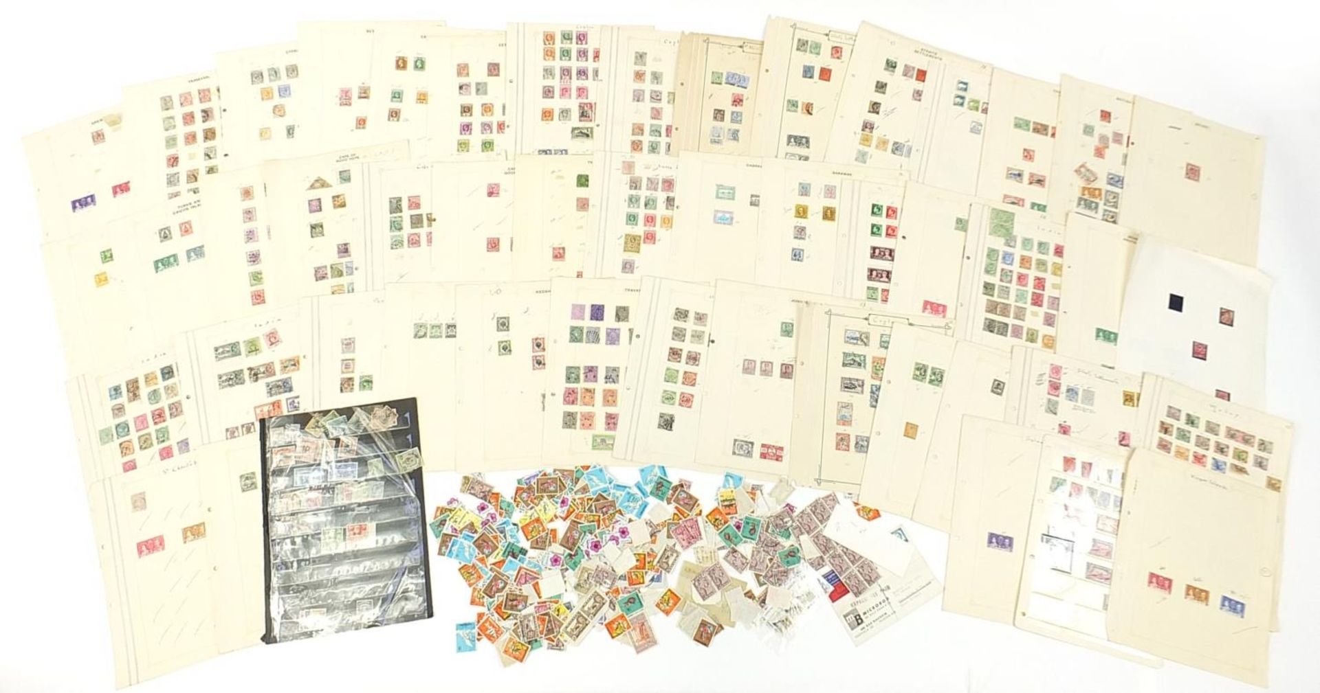 Collection of British Commonwealth stamps arranged on sheets