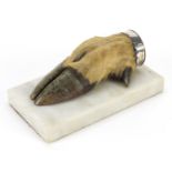 Taxidermy interest deer's foot paperweight with unmarked silver mount and marble base, 18cm in