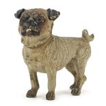 Cold painted bronze Pug dog, 5cm in length