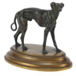 19th century patinated bronze study of a greyhound raised on an oval brass base, 12cm wide