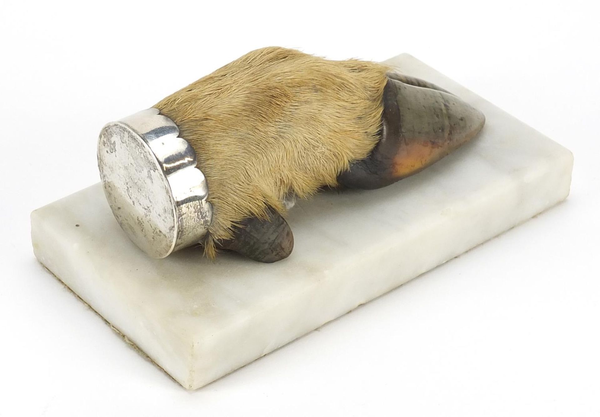 Taxidermy interest deer's foot paperweight with unmarked silver mount and marble base, 18cm in - Image 2 of 3