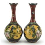 Pair of Japanese cloisonne vases enamelled with butterflies and birds amongst flowers, each 18.5cm