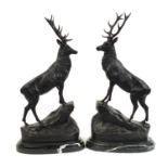 Large pair of patinated bronze stags raised on oval marble stepped bases, each 74cm high