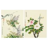 Birds and flowers, pair of Chinese watercolours, each with character marks and red seal marks,