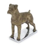 Vintage silvered chrome Boxer dog car mascot, 11cm high