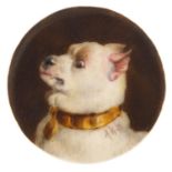 Victorian circular porcelain plaque hand painted with a Chihuahua, signed with monogram A H W and