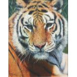 Tony Forrest - Wild Thing, tiger, print in colour on board, limited edition 59/195, certificate