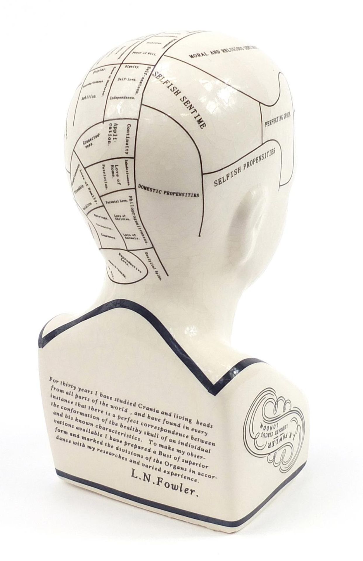 Porcelain phrenology head, 31cm high - Bild 3 aus 5