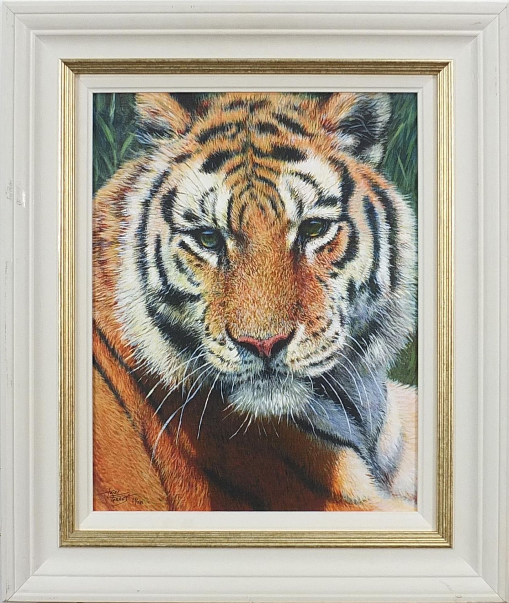Tony Forrest - Wild Thing, tiger, print in colour on board, limited edition 59/195, certificate - Image 2 of 5