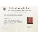 Victorian British Penny Red stamp, overprinted specimen type 9, plate 224, SF on Richard Arundel Ltd