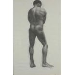 Colin Barnes - Male nudes, charcoal on paper, provenance details verso, Colin Barnes Exhibition at