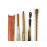 Tribal interest items including a walking stick with carved figural pommel and a fly swish, the