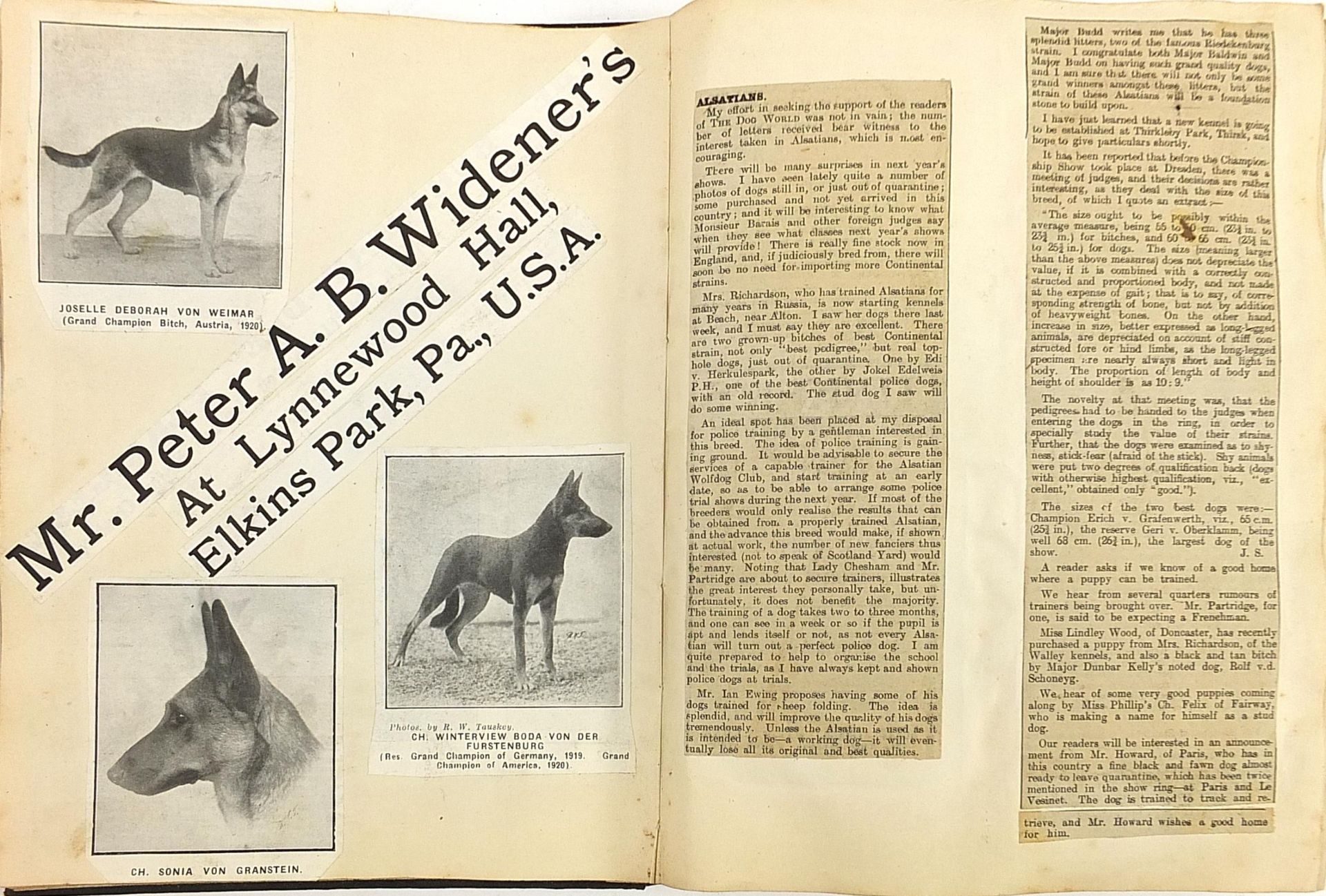 Collection of dog show related ephemera including a large collection of dog show prize labels - Image 11 of 15