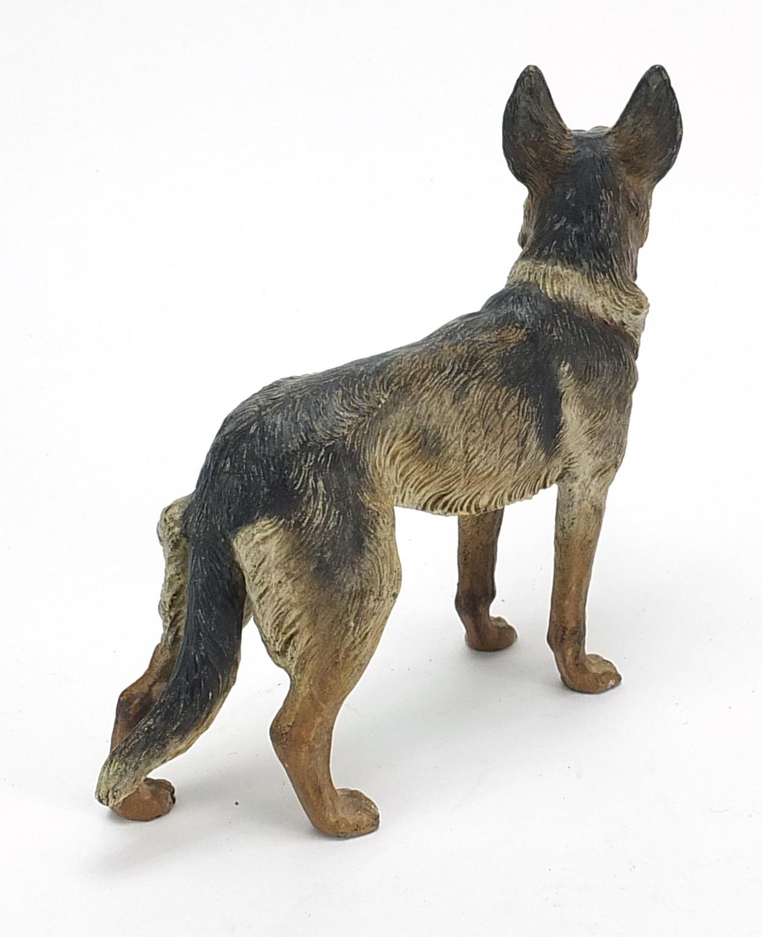 Large cold painted bronze German Shepherd given to the vendor for winning at Crufts 1965, 20cm in - Image 2 of 3