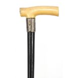 Ebonised walking stick with ivory handle and engraved silver collar, 79cm in length