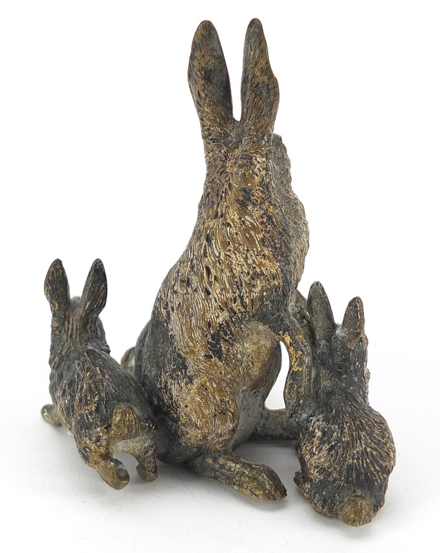 German cold painted bronze group of a hare and three bunnies, impressed Geschutzt to the base of - Image 2 of 4