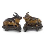 Pair of Chinese carved tiger's eye water buffalo, each raised on carved hardwood stands, 8.5cm in