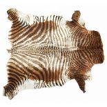 Contemporary brown zebra hide rug, 205cm x 150cm