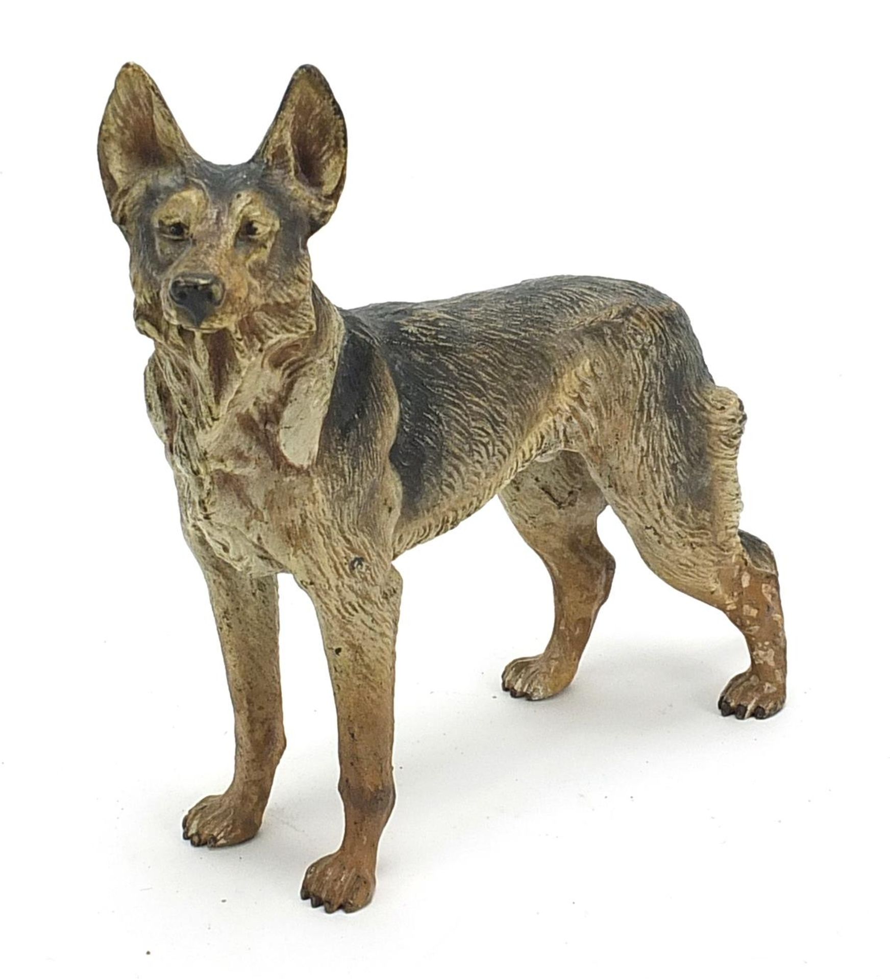 Large cold painted bronze German Shepherd given to the vendor for winning at Crufts 1965, 20cm in