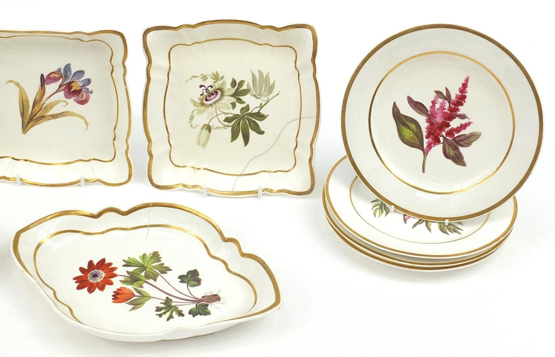 Early 19th century Coalport botanical porcelain service comprising nine plates and five dishes hand - Bild 3 aus 4