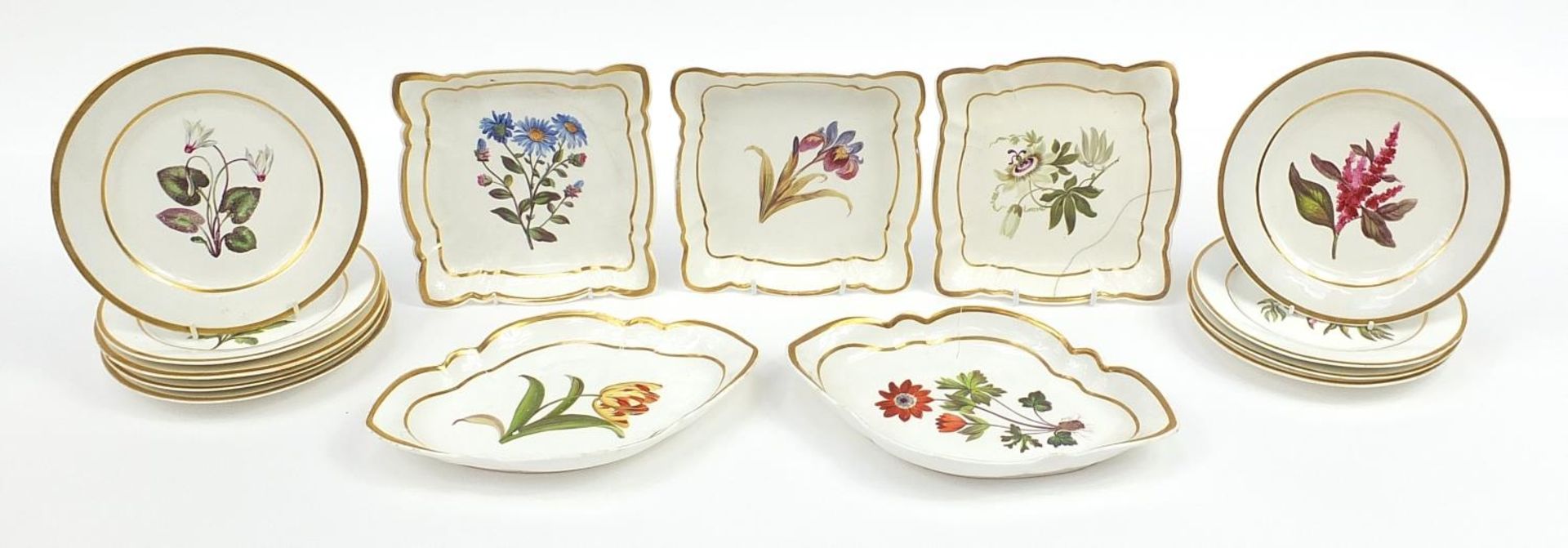 Early 19th century Coalport botanical porcelain service comprising nine plates and five dishes hand