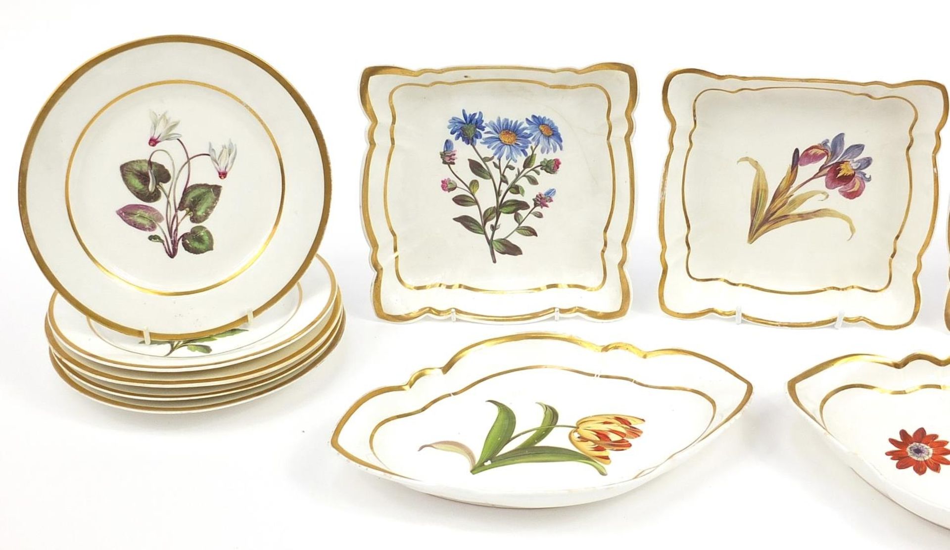 Early 19th century Coalport botanical porcelain service comprising nine plates and five dishes hand - Bild 2 aus 4