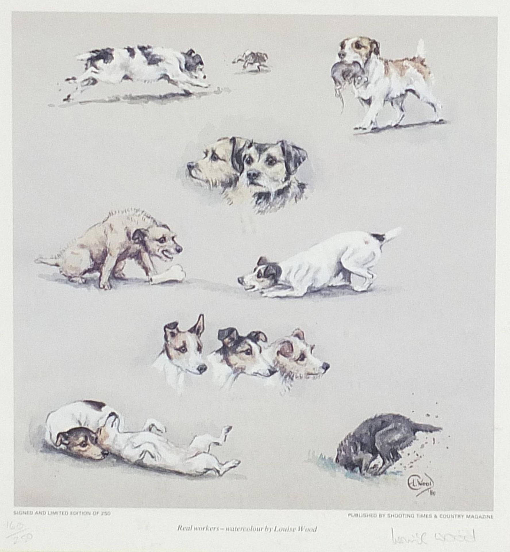 Louise Wood - Dogs, pencil signed print in colour, limited edition 160/250, framed and glazed,