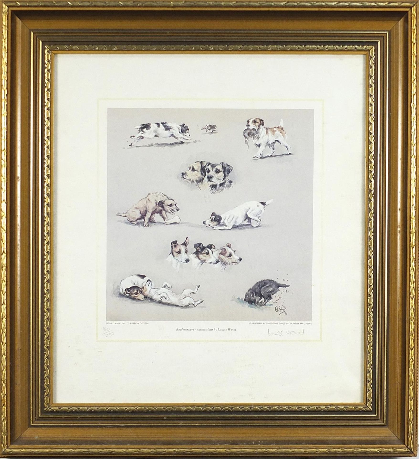 Louise Wood - Dogs, pencil signed print in colour, limited edition 160/250, framed and glazed, - Bild 2 aus 5