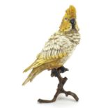 Cold painted bronze cockatiel on a branch in the style of Franz Xaver Bergmann, 30cm high