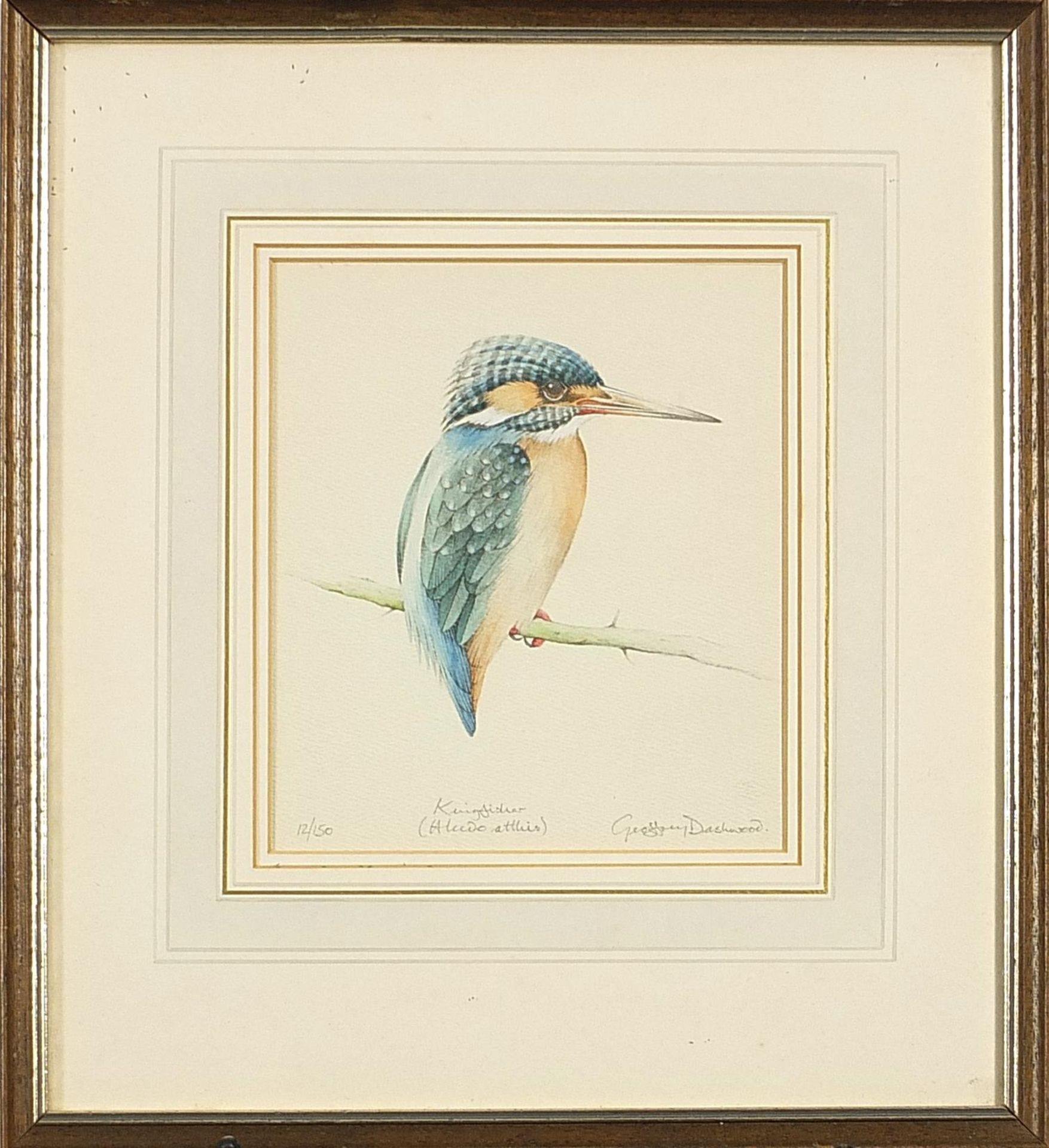 Geoffrey Dashwood - Kingfisher, pencil signed print in colour, limited edition 12/150, mounted, - Image 3 of 6