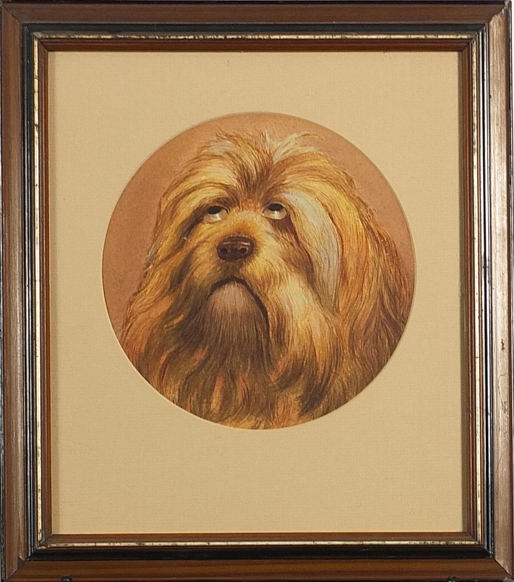 Portrait of a dog looking upwards, circular watercolour and gouache, mounted, framed and glazed, - Image 2 of 3