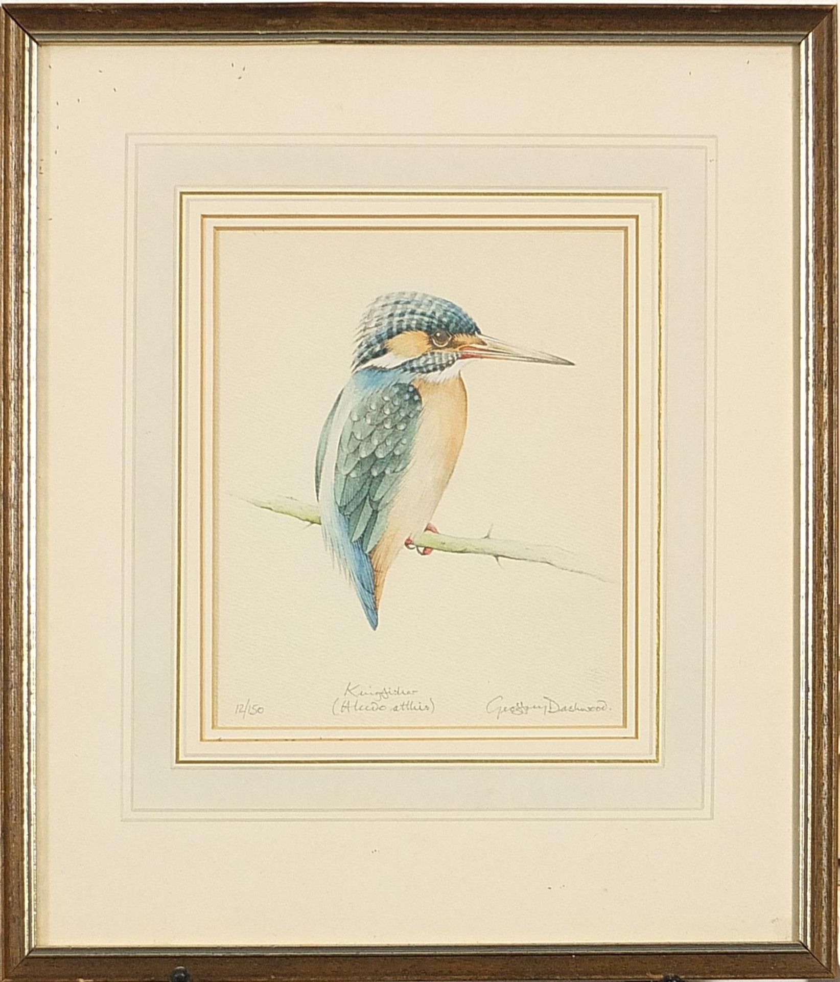 Geoffrey Dashwood - Kingfisher, pencil signed print in colour, limited edition 12/150, mounted, - Image 5 of 6