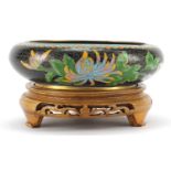 Chinese cloisonne bowl and hardwood stand enamelled with birds amongst flowers, 20.5cm in diameter