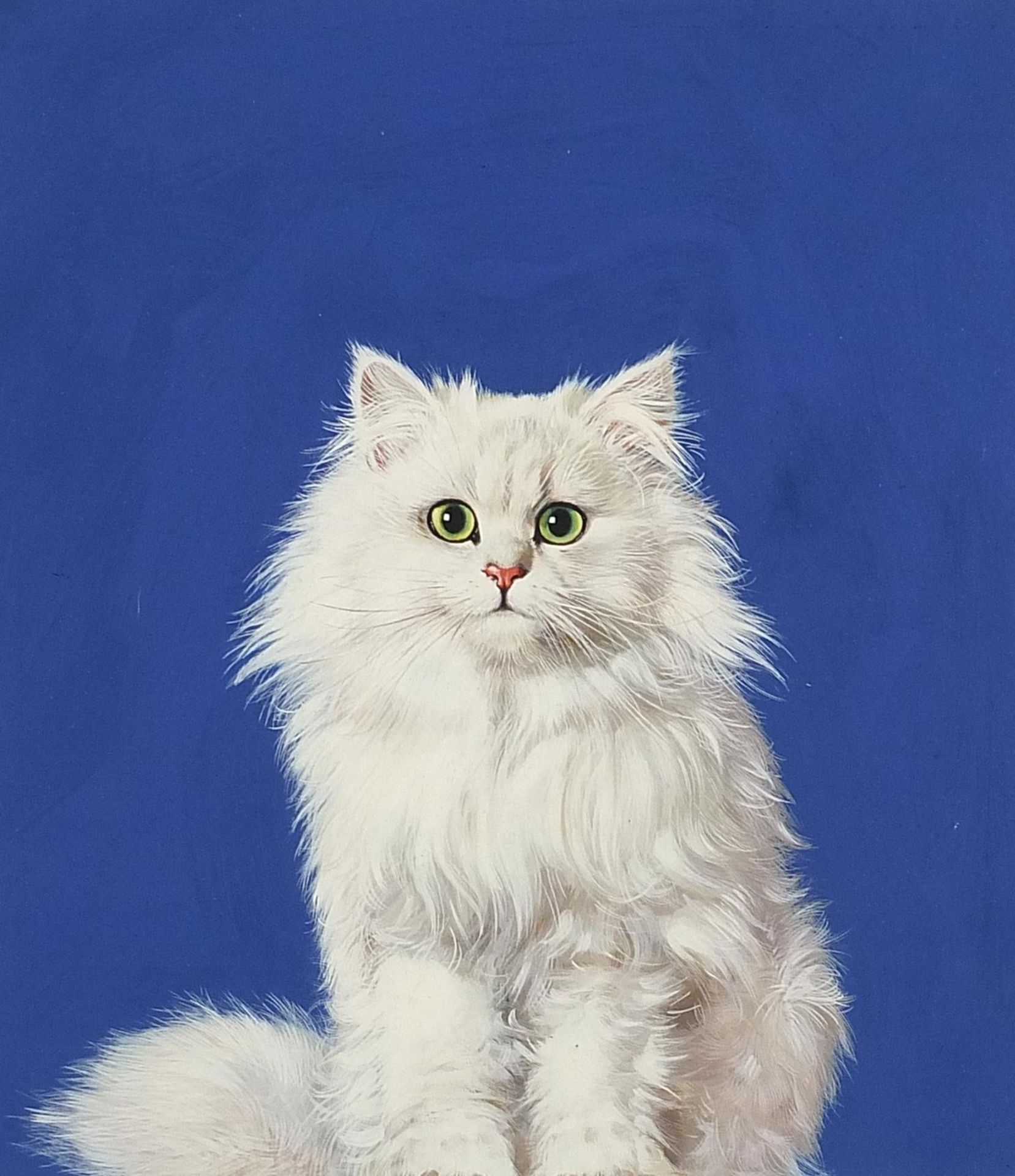 Brian Bysouth - Portrait of a white cat, acrylic, mounted, framed and glazed, 28cm x 25cm